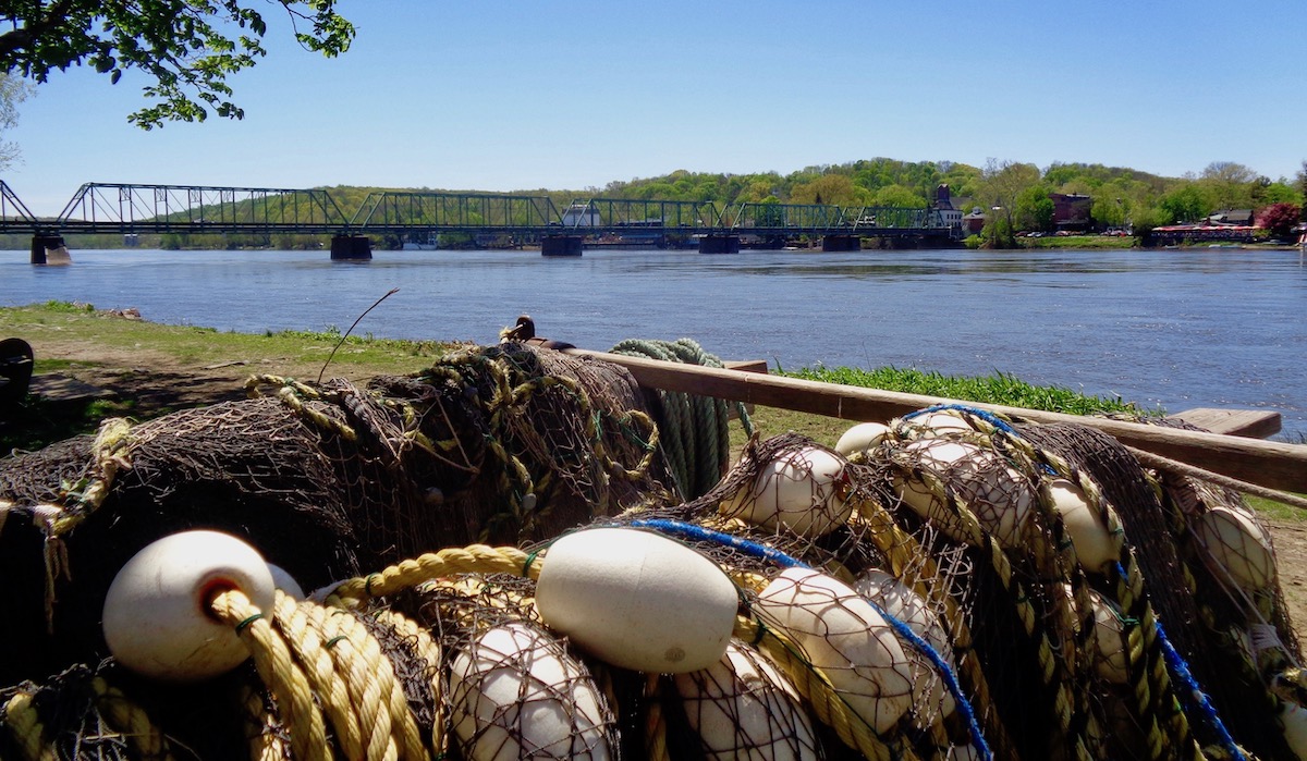 Shad Fest 2019 in Lambertville coming up this weekend New Hope Free Press