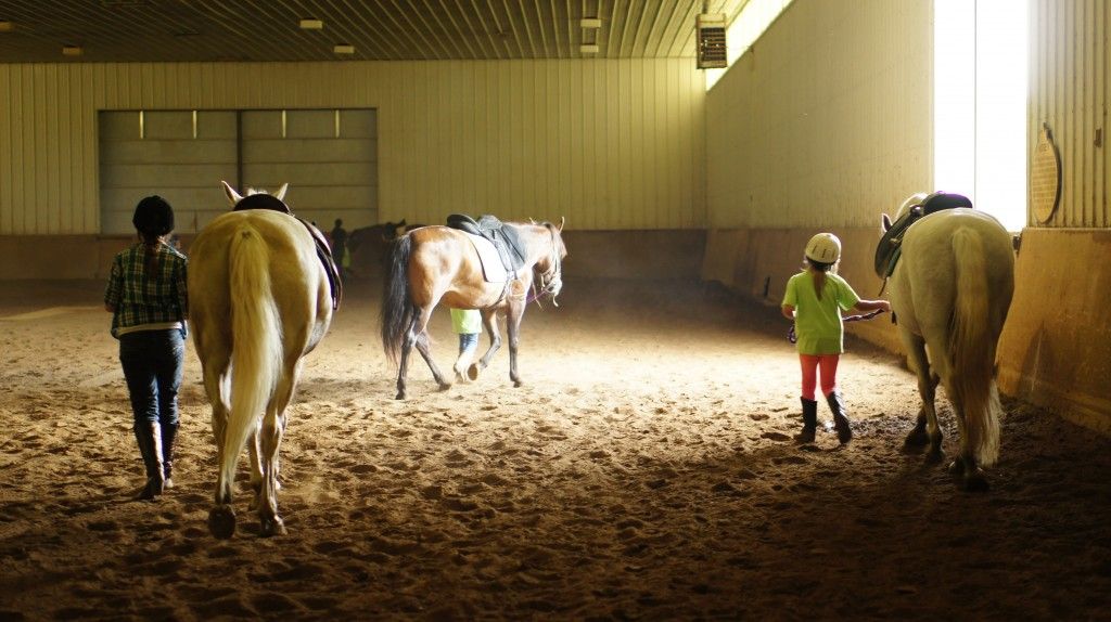 First Class Horse Complex Kids Horse Camp Horse Camp in Bristol