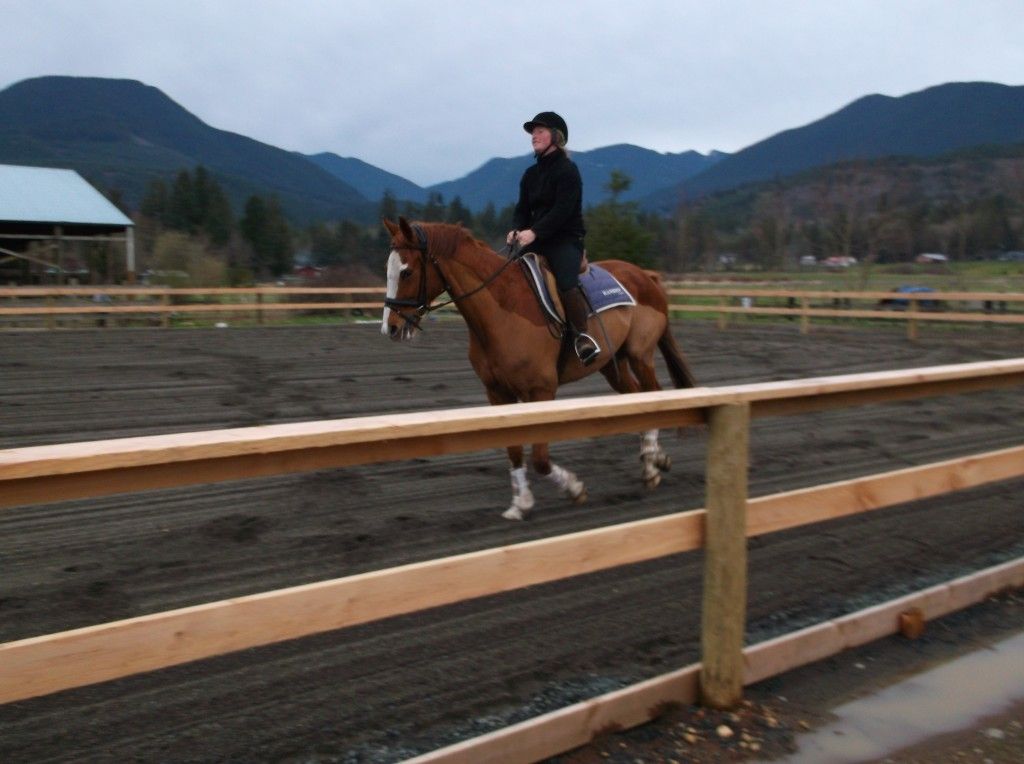 Serendipity Farm Horse Boarding Farm in Quilcene, Washington