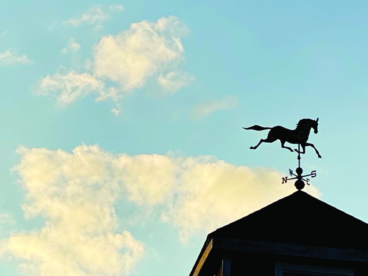 Hill Brook Equestrian Center Horse Boarding Farm in Litchfield
