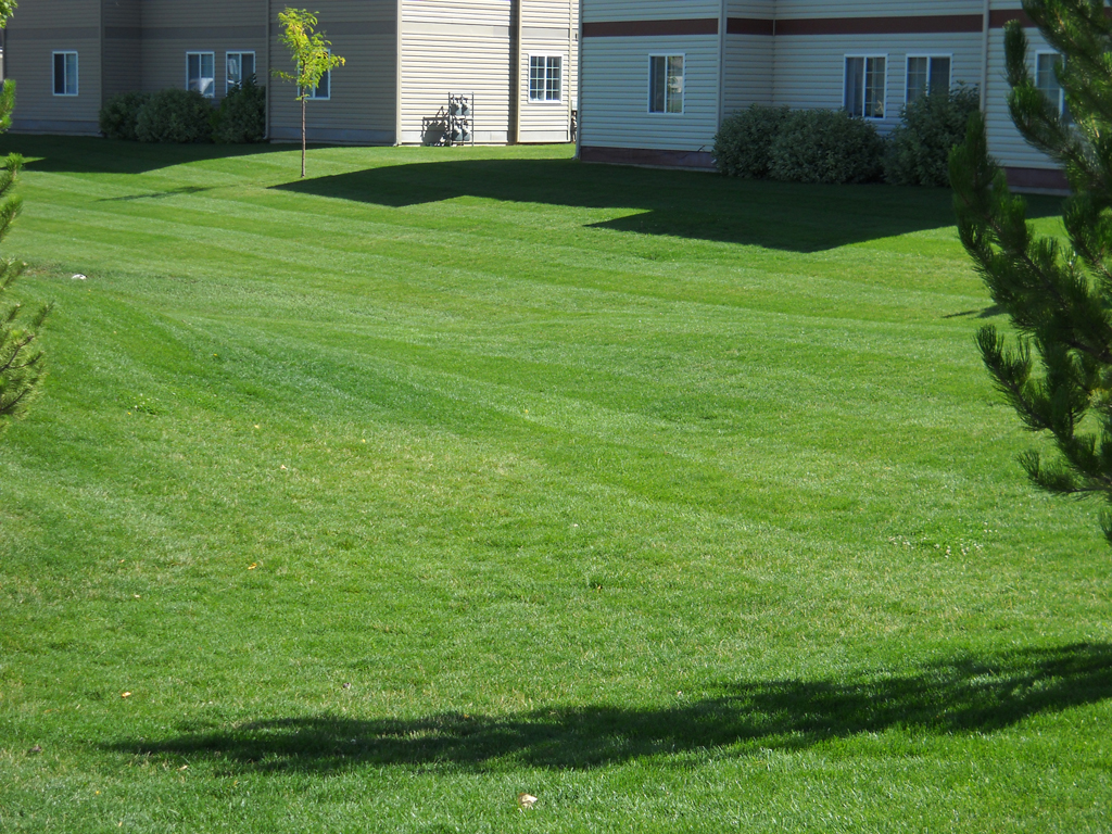 Fresh Cut Lawn New Leaf Landscape Design and Maintenance Idaho Falls