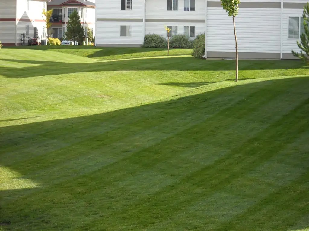 Premier Idaho Falls Lawn Care New Leaf Landscape Design & Maintenance