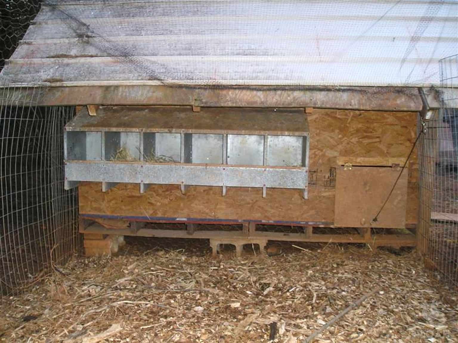 Size Guide for Chicken Nesting Boxes... How Many Do I Need?