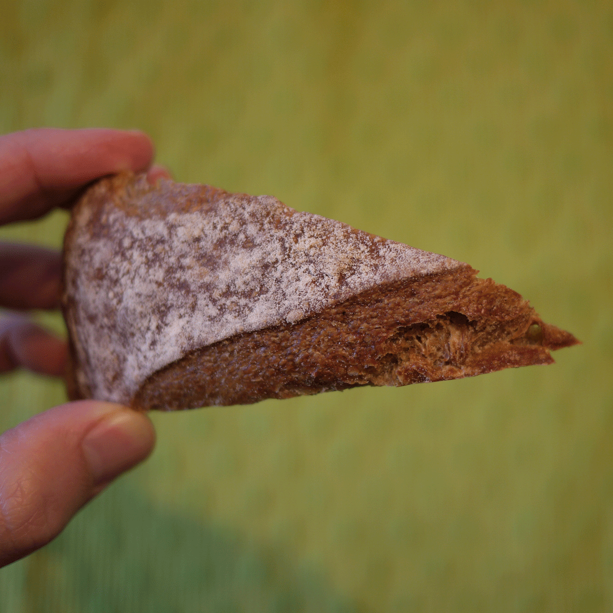 Is Switzerland the ultimate land of bread?!