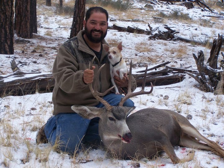 New Mexico Hunting Guides New Mexico Big Game Hunting