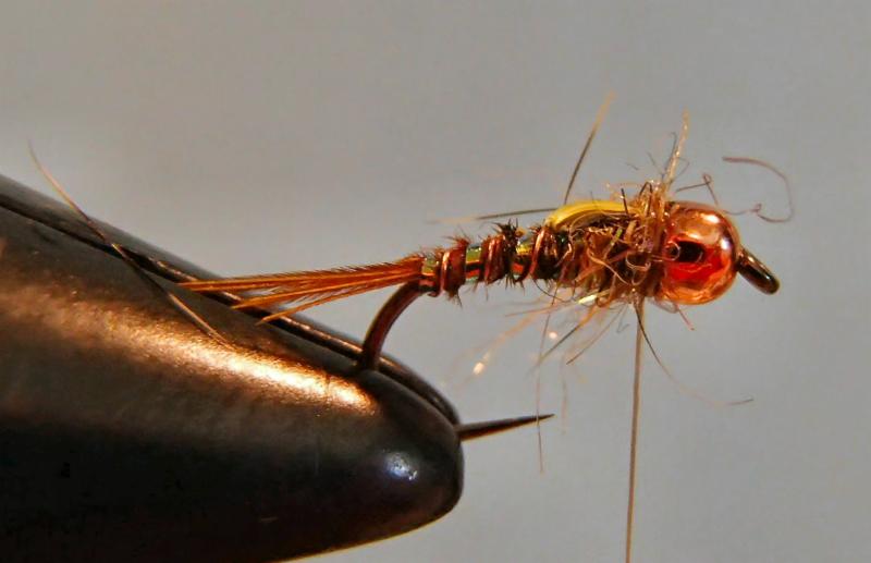 Fly of the Month Firecracker Split Back Fly New Mexico Trout