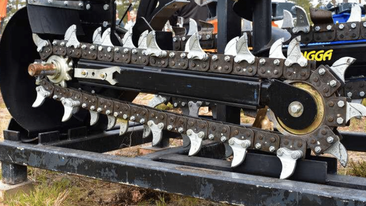 What Is The Purpose Of Trencher Teeth, And How Can They Be Replaced?