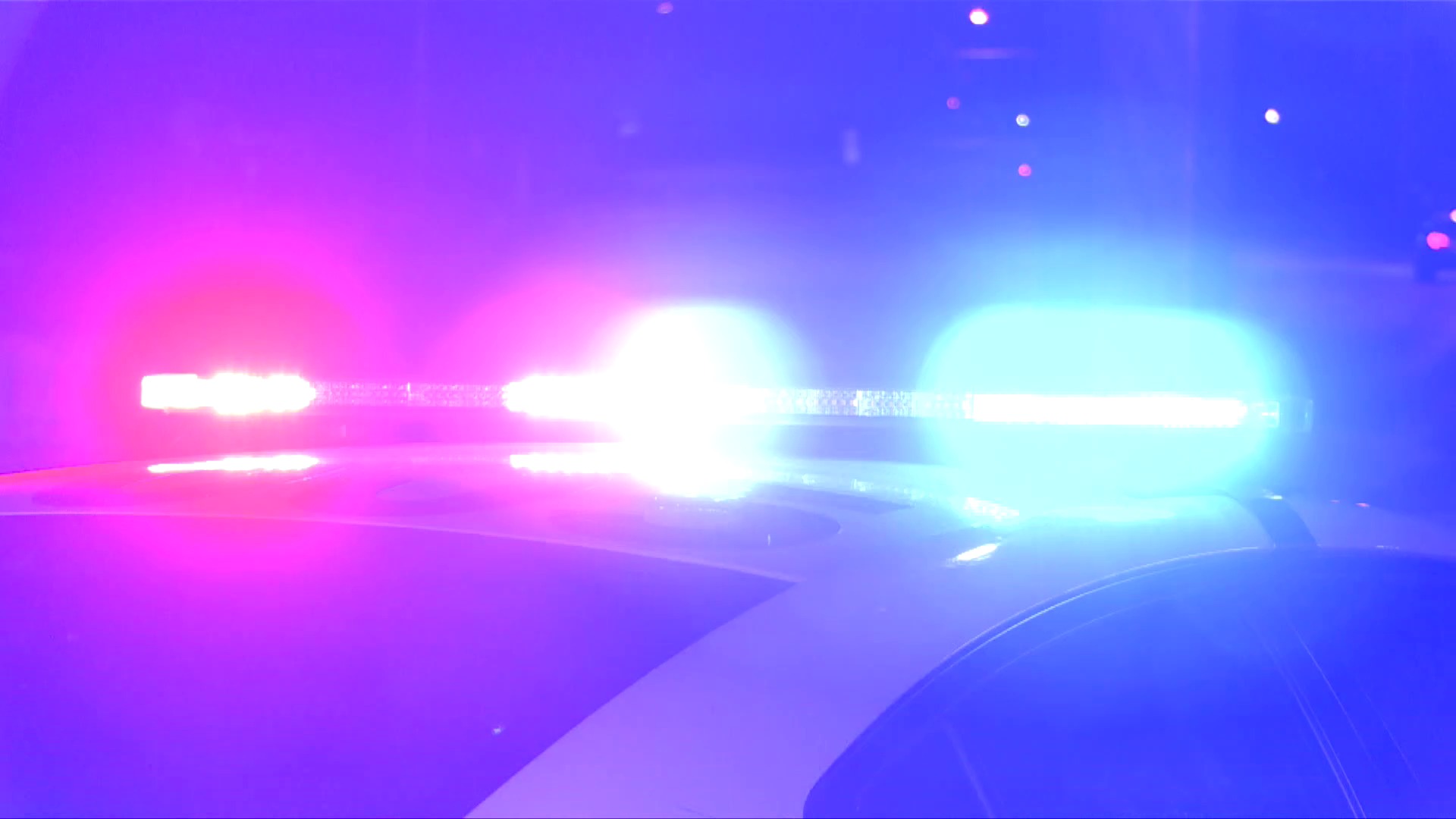 Two arrested in connection with Biddeford murder Newport Dispatch