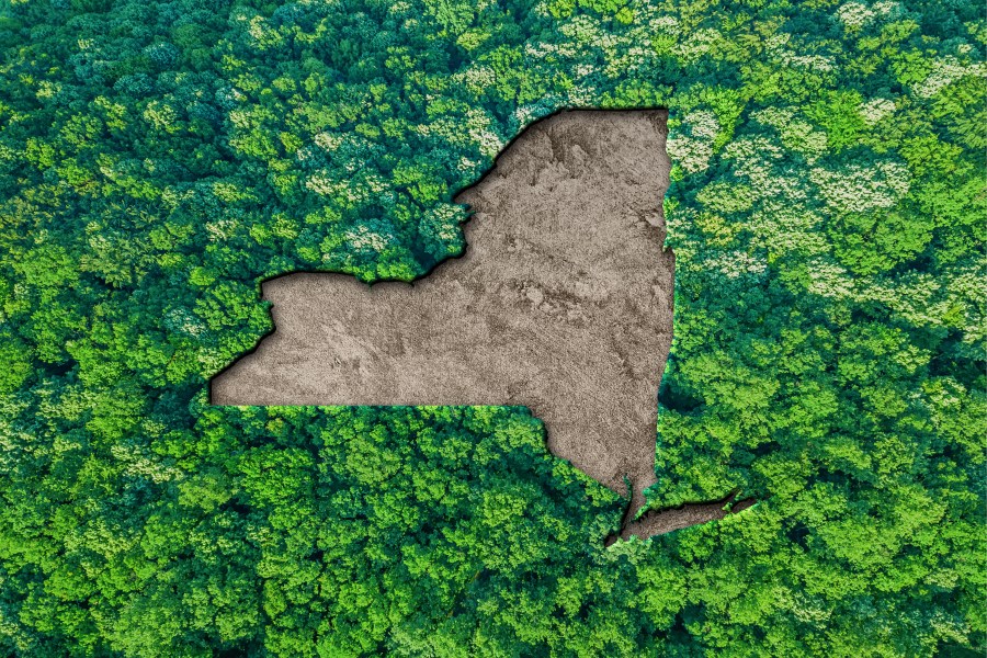 New York Climate Week: Energy Transparency Plans