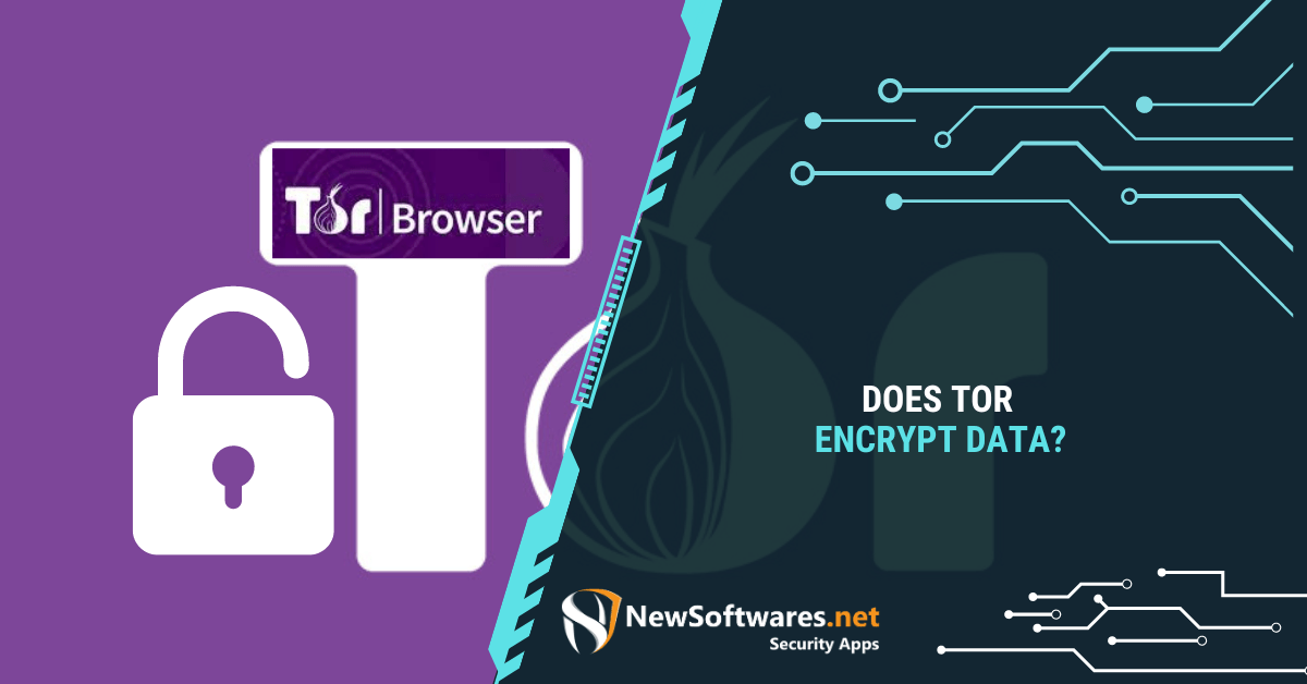 Does Tor Encrypt Data? Blog