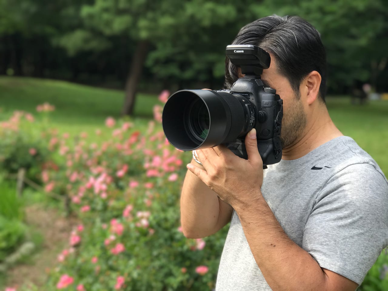 Sale > sigma 135mm f1 8 art > in stock