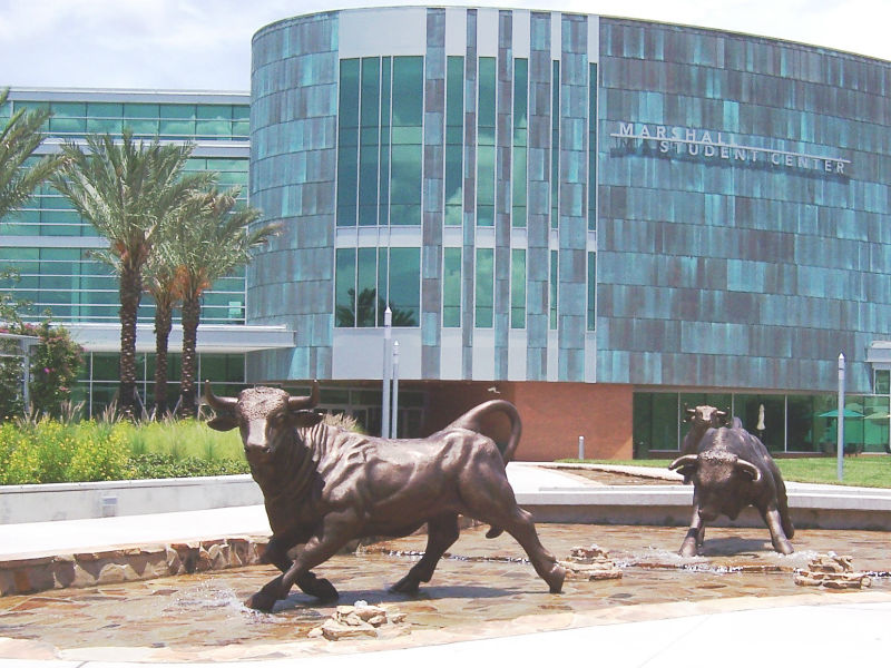 USF Ranks 5th In New Patents Among U.S. Public Universities As Florida