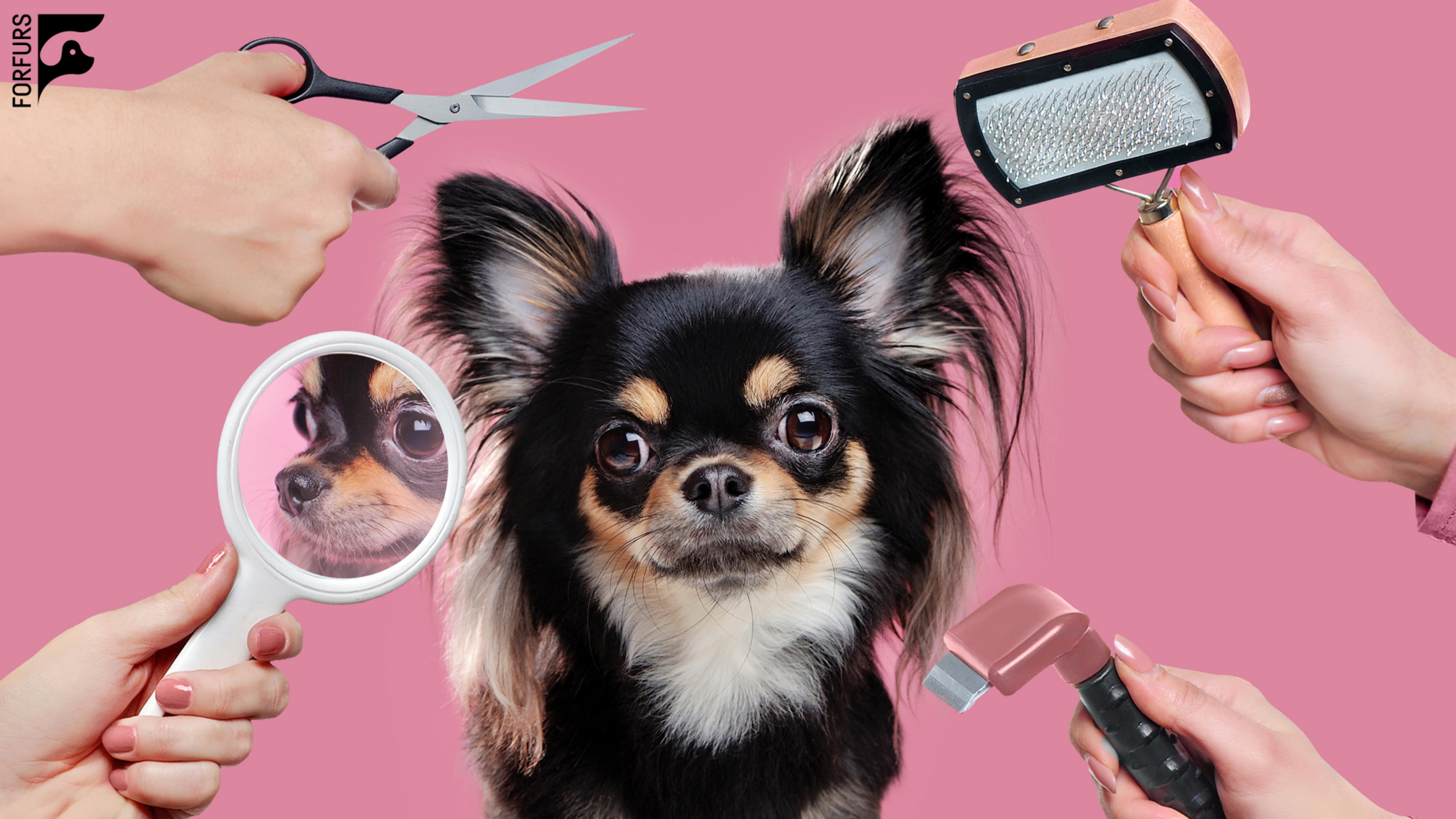 Of Law & Legal Archives »