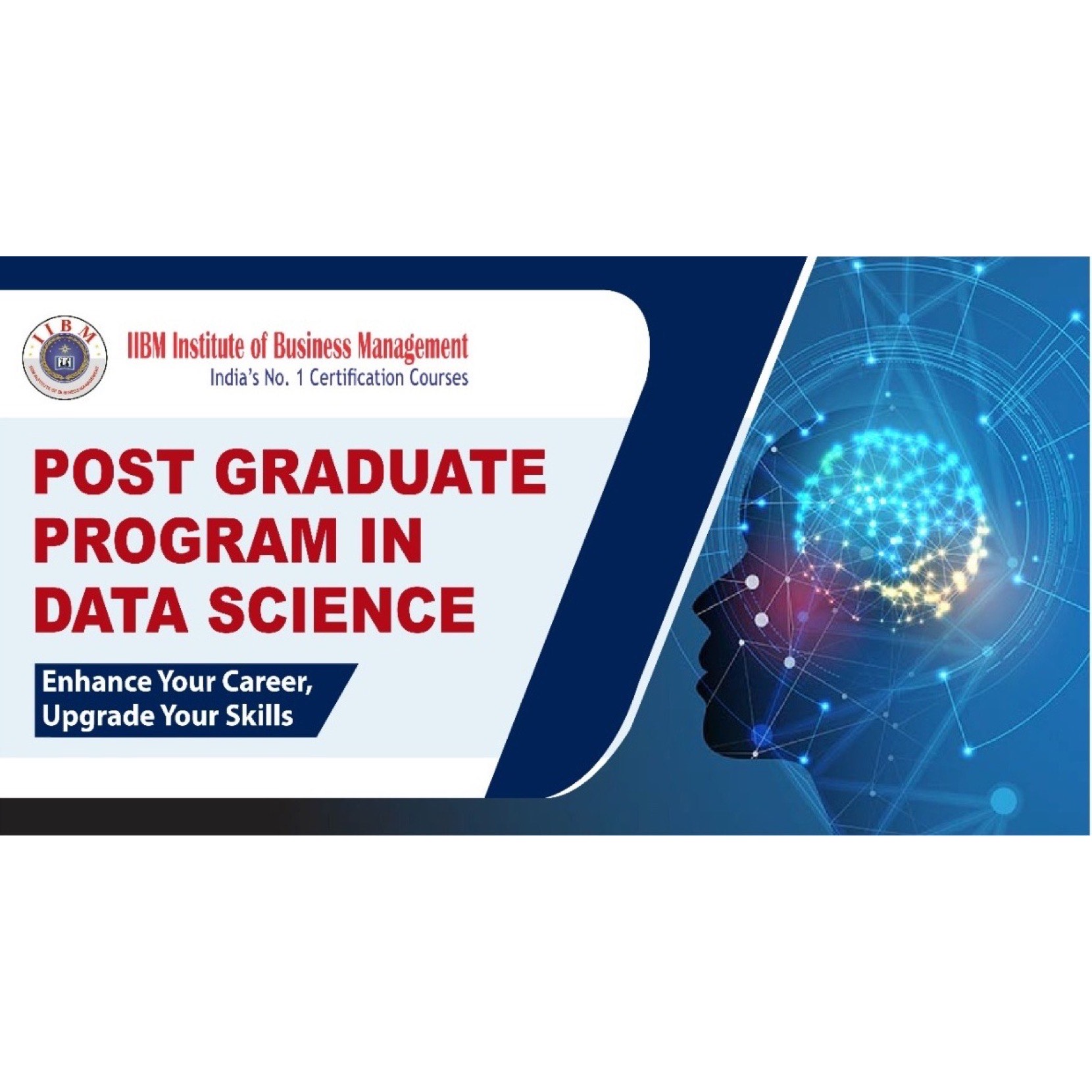 IIBM launches their new PG program in Data Sciences!