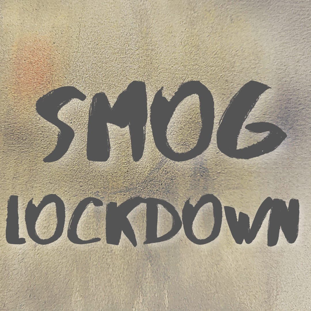 India’s toxic air, Florida space launch, Sikhs celebrate, locusts on EU menu NEWSY POOLOOZI