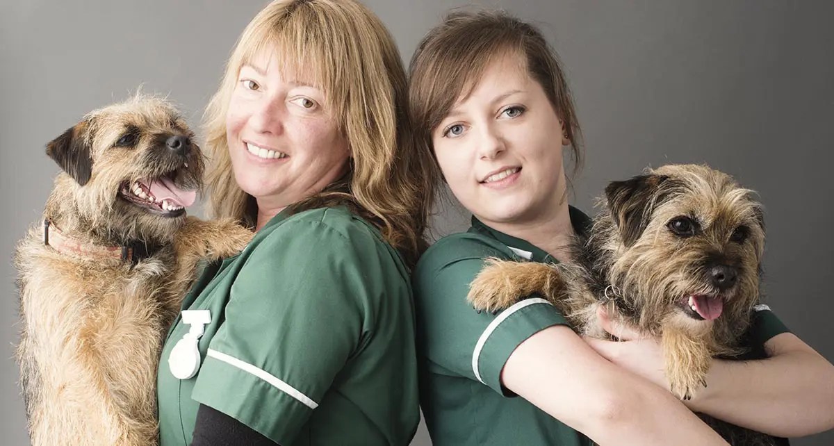 FAQs Frequently asked questions Newton Clarke Veterinary Practice