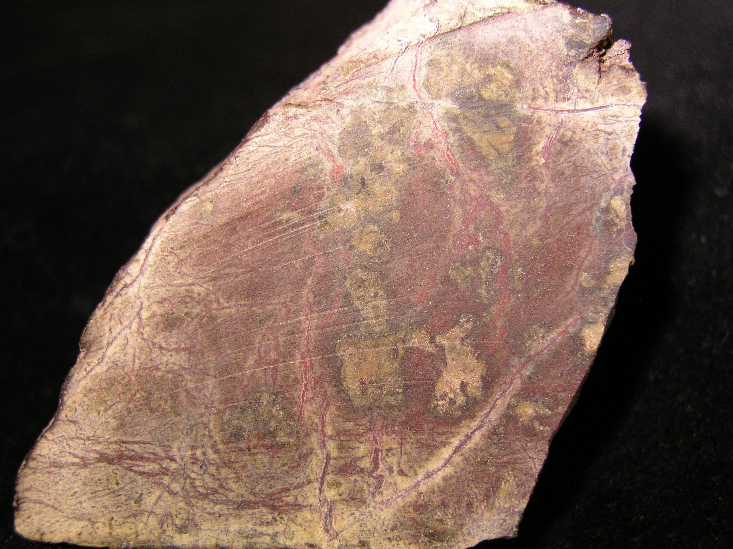 Serpentinite_Staten_Island