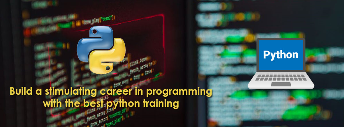 Python Training Institute in Pune New Wings