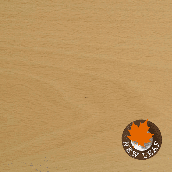 Beech Veneered Birch Plywood White New World Timber
