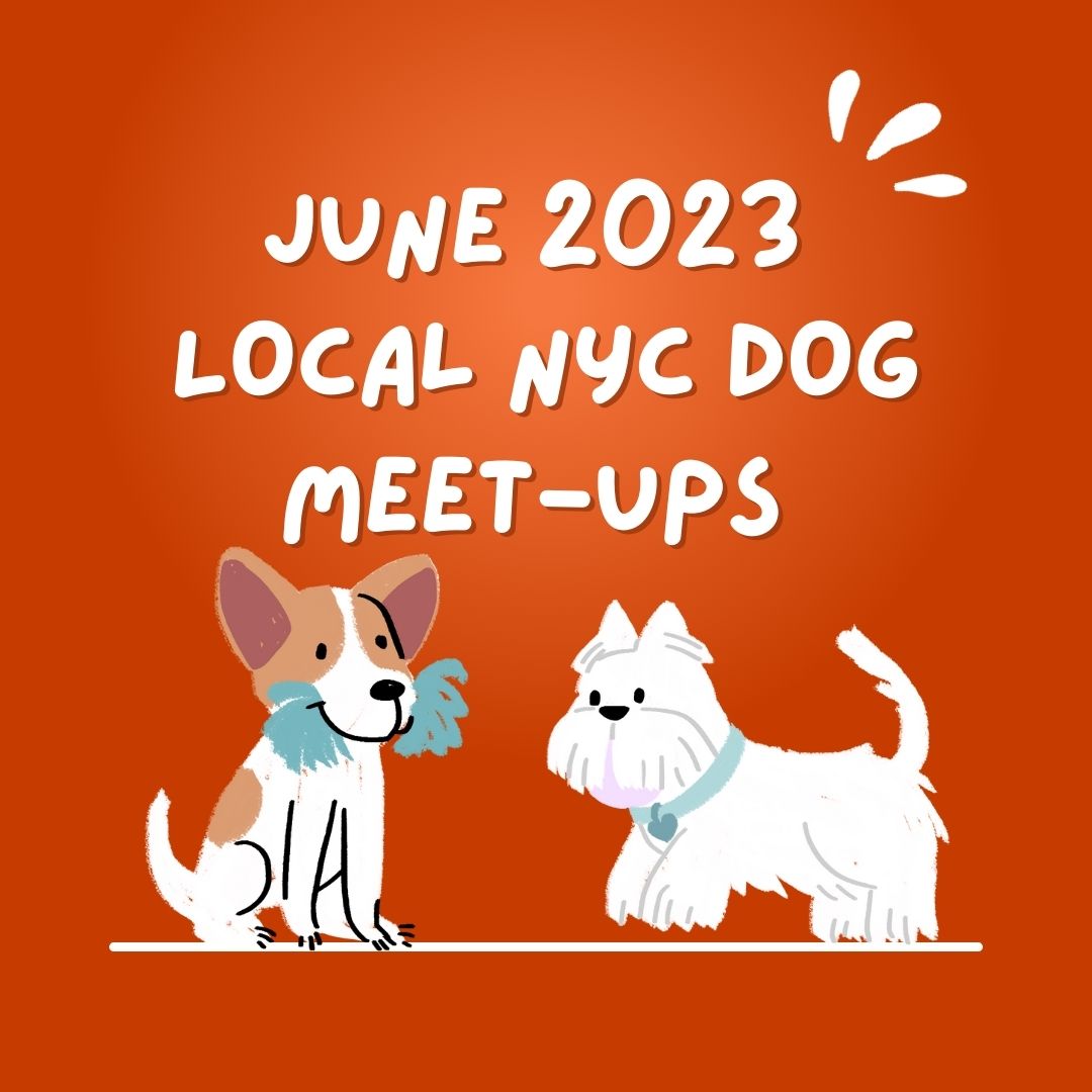 June 2022 NYC Dog Events and Meets New York Dog Nanny