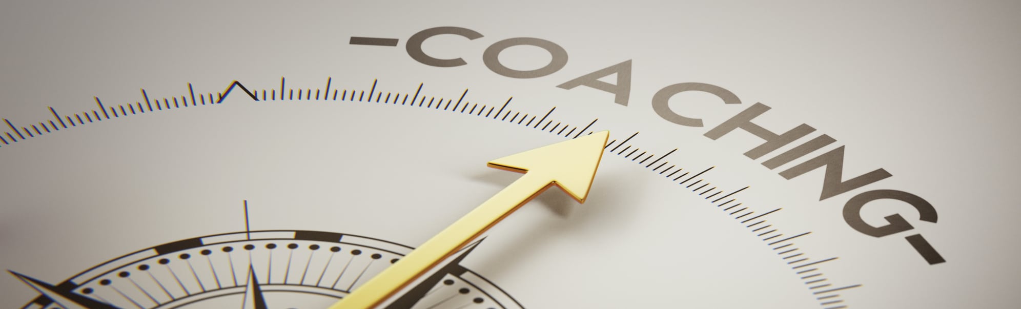 My Top 8 Leadership Coaching Resources from 2021 Next Element