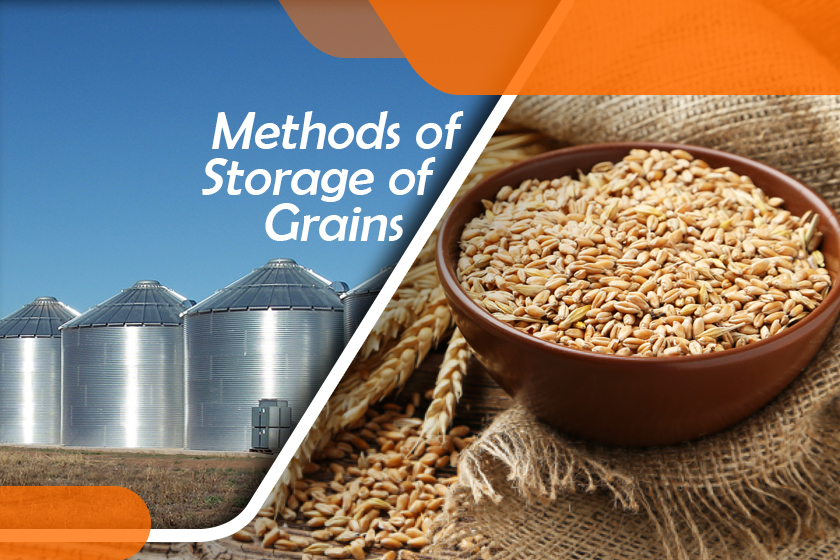 Storage Solutions Archives Nextech Blog