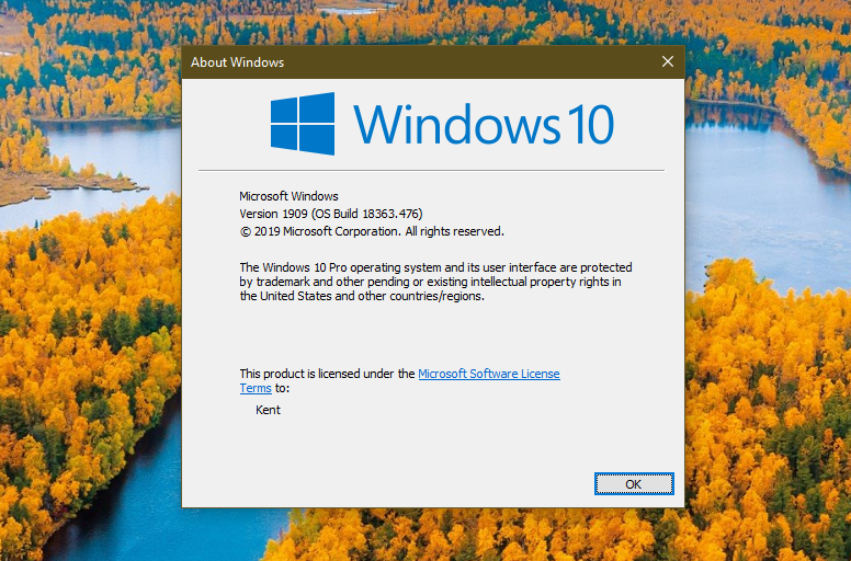Windows 10 Version 1909 Released and It's Pretty Easy to Update