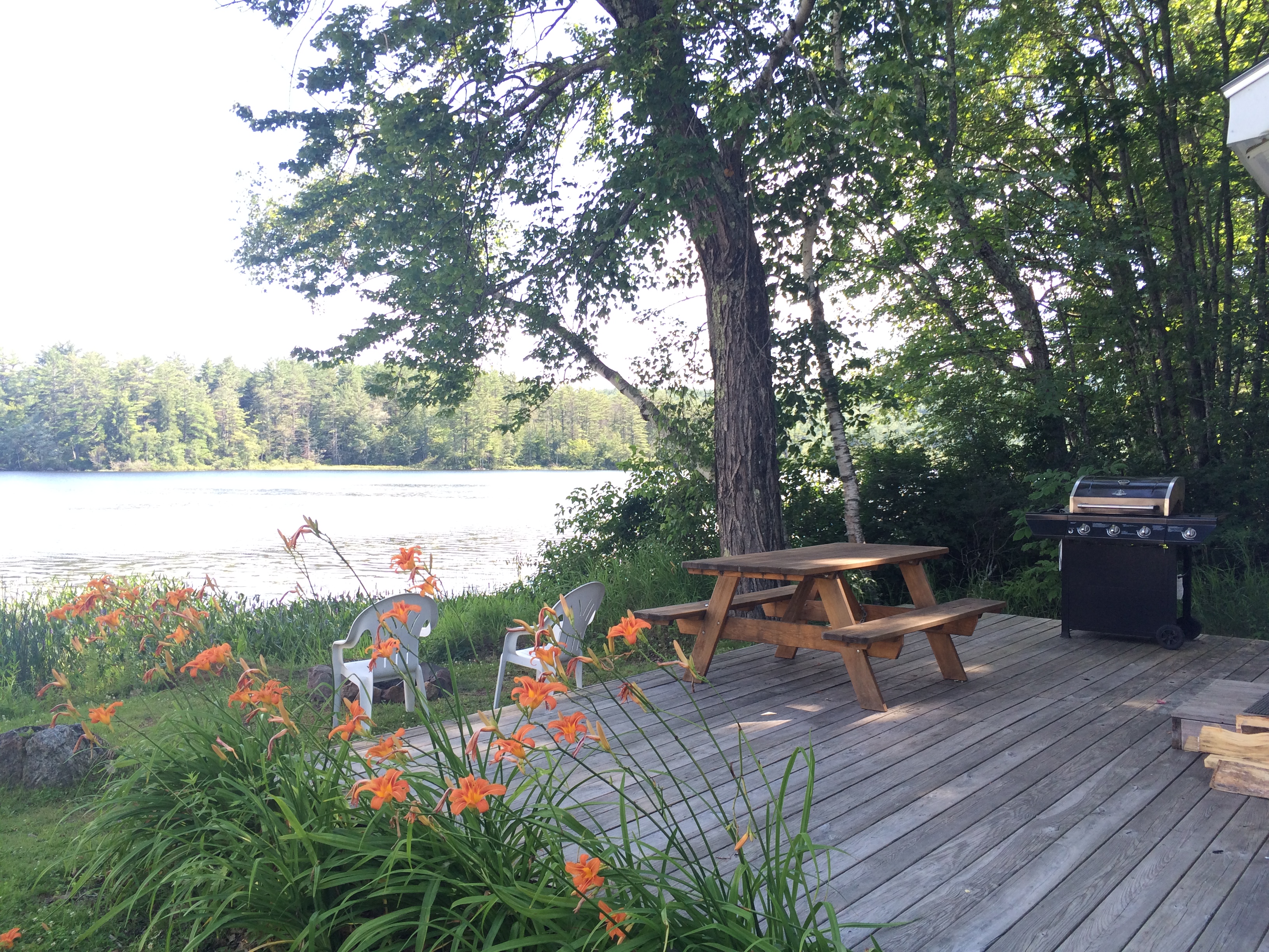 Houses For Rent Lakes Region Nh at Mildred Marcantel blog