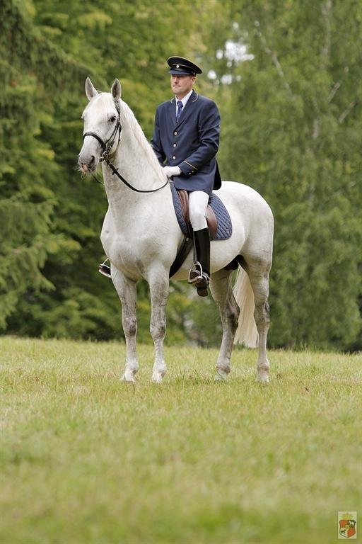 The Most Beautiful Horse of the Czech Republic Contest, Generale