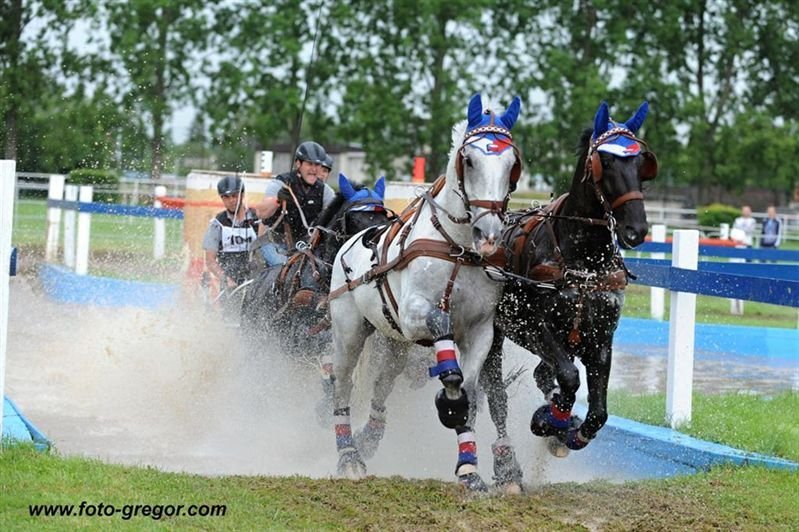 International horse driving competition in Topoľčianky, 25 June 2016