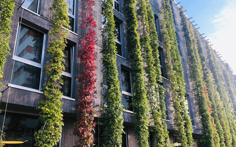 NHMF Connecting energy efficiency and social sustainability