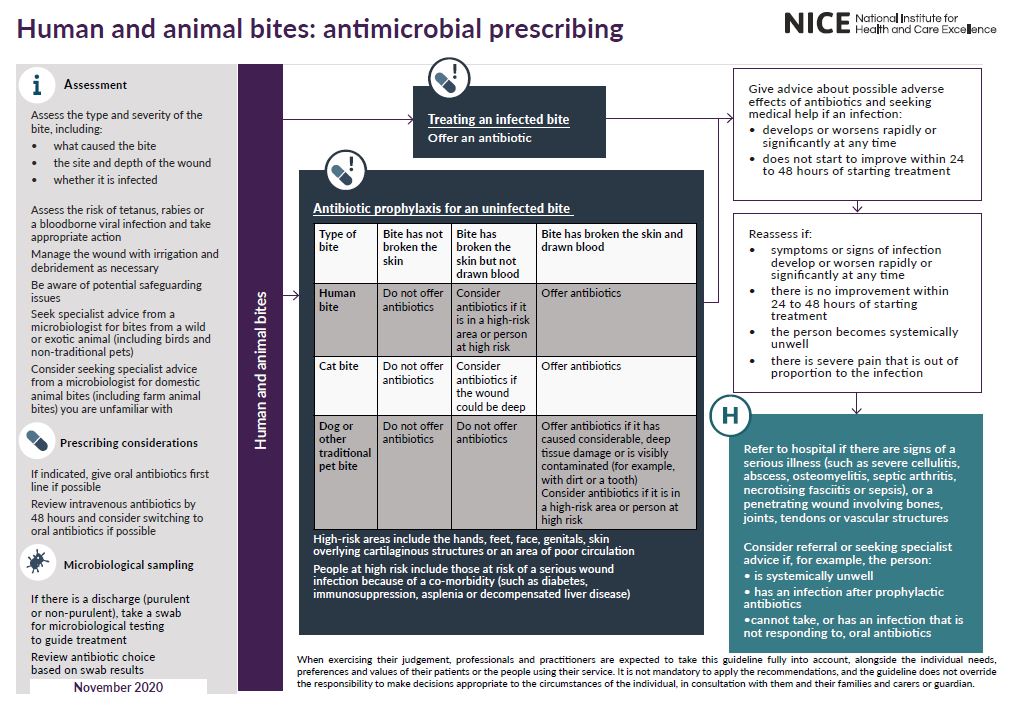 Overview Human and animal bites antimicrobial prescribing Guidance