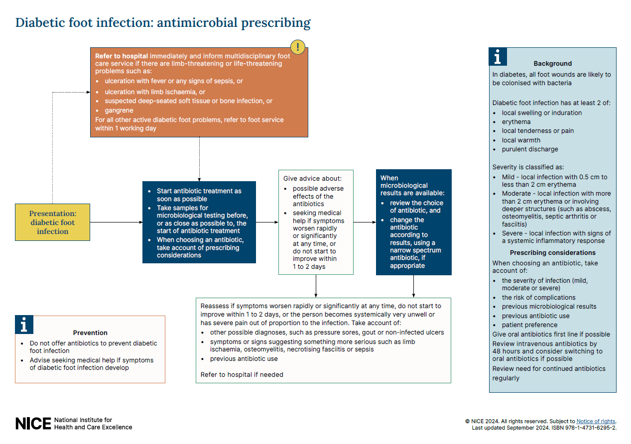 Overview Diabetic foot problems prevention and management Guidance