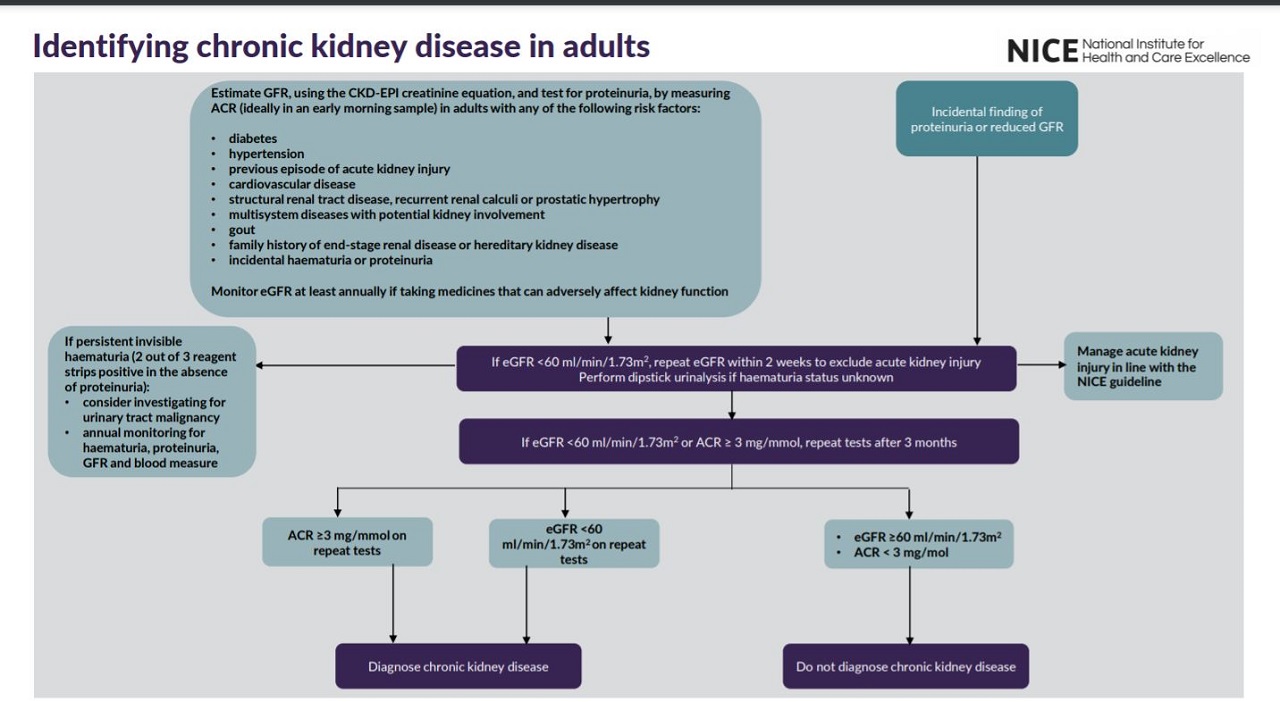 Overview Chronic kidney disease assessment and management Guidance