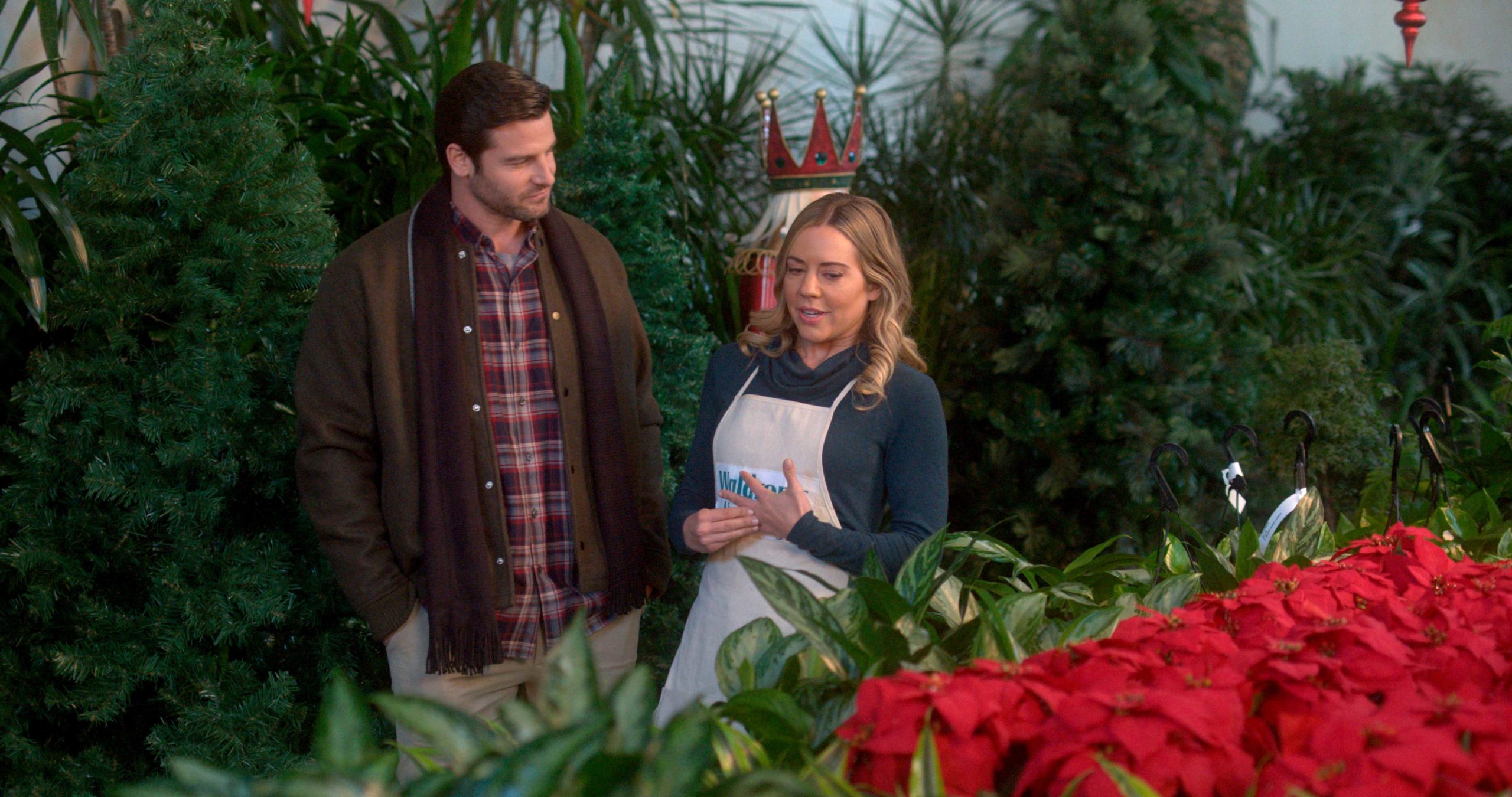 LOVE AT THE CHRISTMAS CONTEST Nicely Entertainment