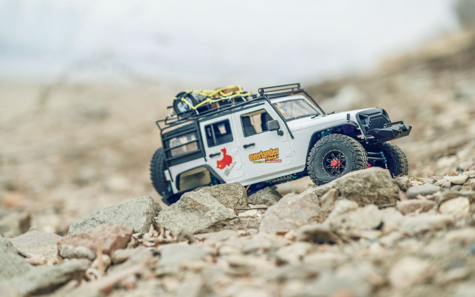 951 Epic and Cool Car Rental Business Name Ideas You'll Love