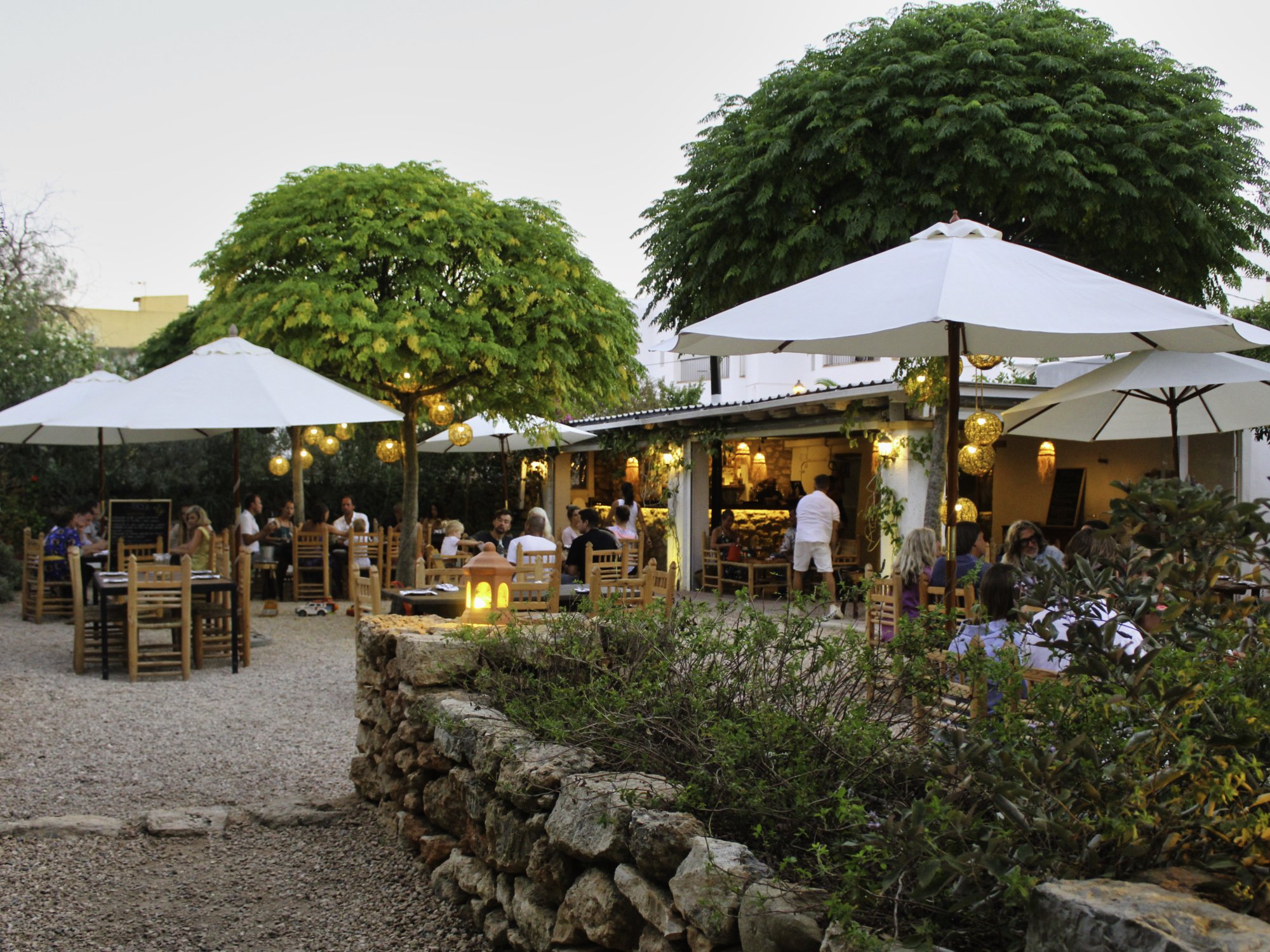 Can Mimosa Niche Travel Guides