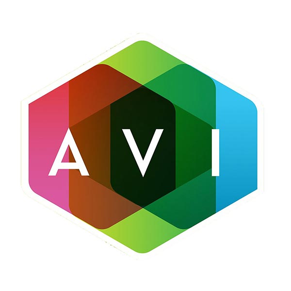 Niche Visuals Videography Chicago Video Production Projects