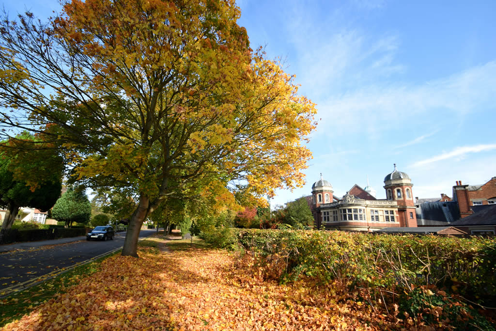 Houses / Properties for Sale in Caversham Nicholas Estate Agents and