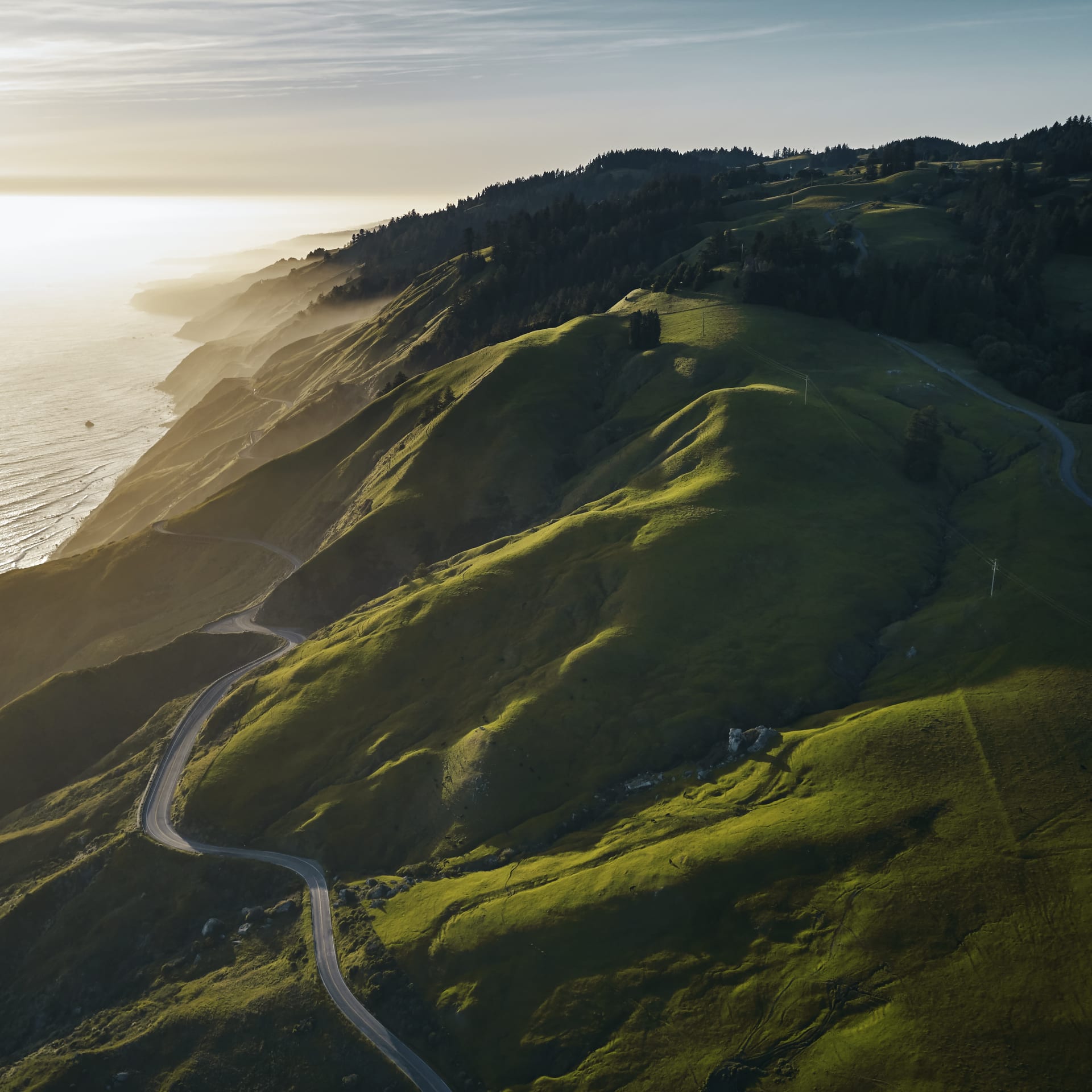 Flowers Sea View Ridge Pinot Noir 2021 Nicholas Wines