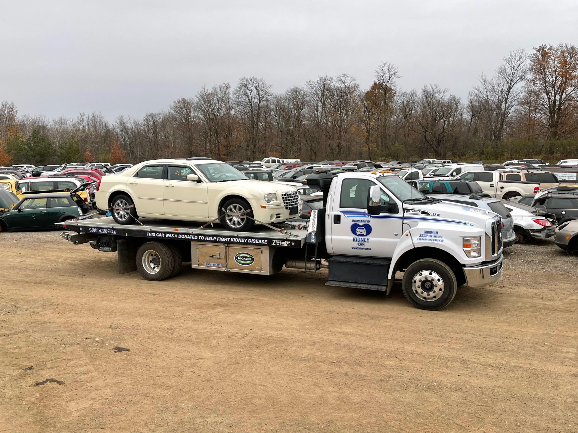 You Pull It Auto Parts Nicklin Auto Parts & Recycling