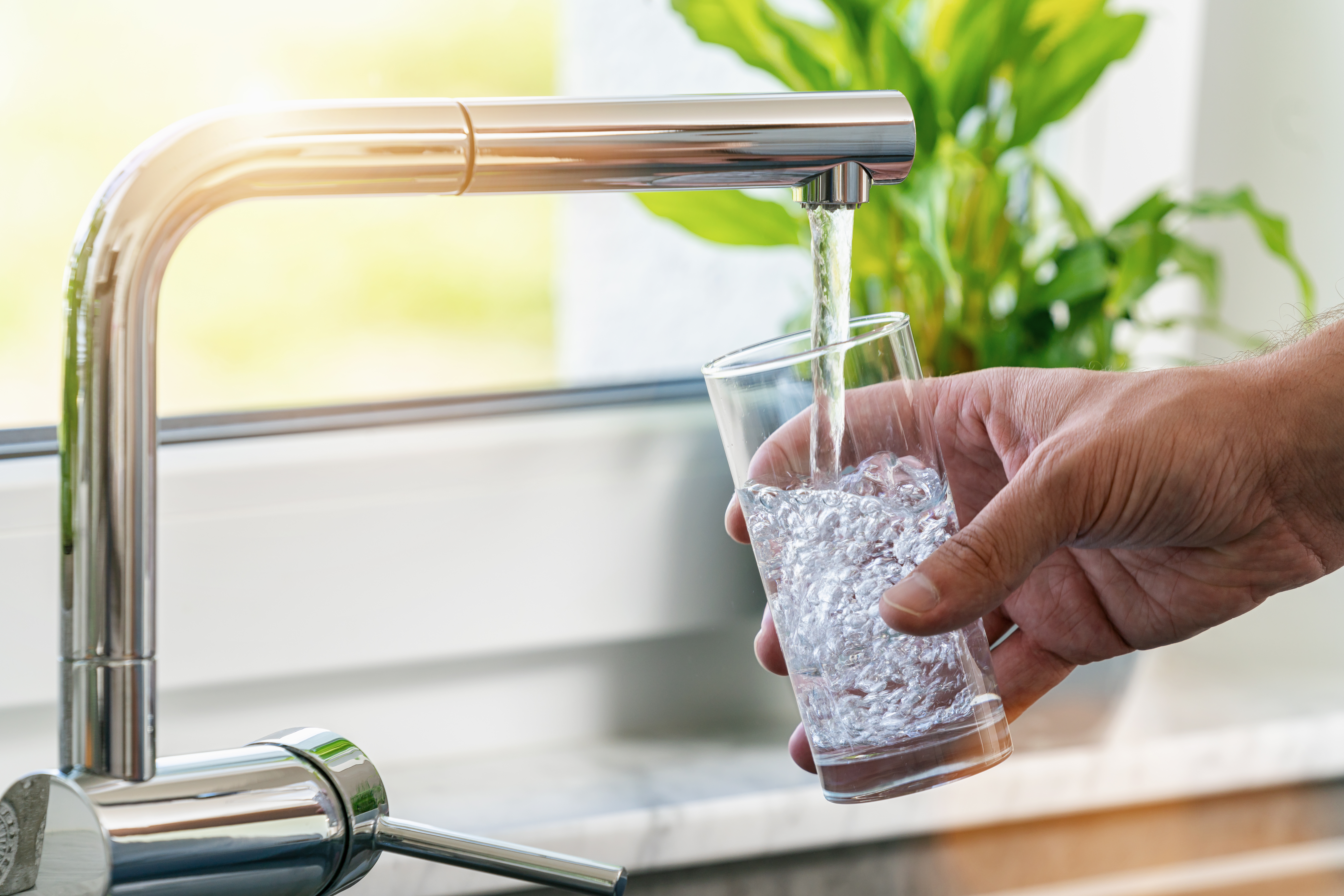 Fluoridated Water — The Great Debate. Nicollet Station Dental