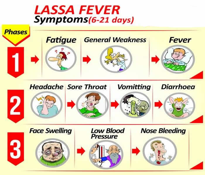 LASSA FEVER RECORDED IN NIGERIA The News Purveyor!