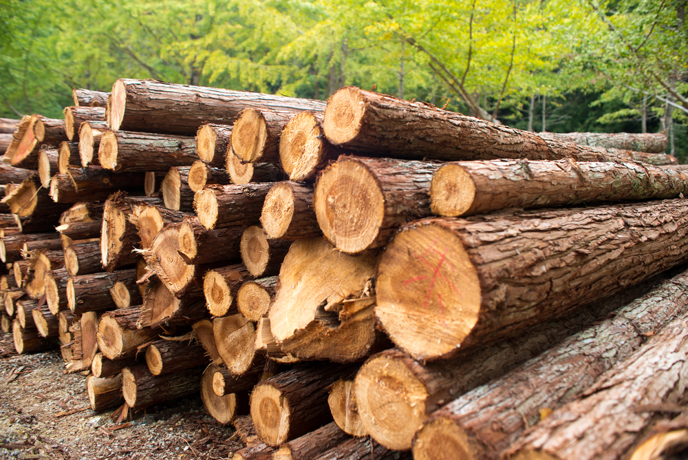 The Business of Forestry How to Sell Timber