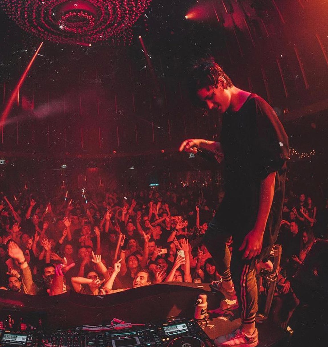 13 Best in Raleigh [2024 October Update]