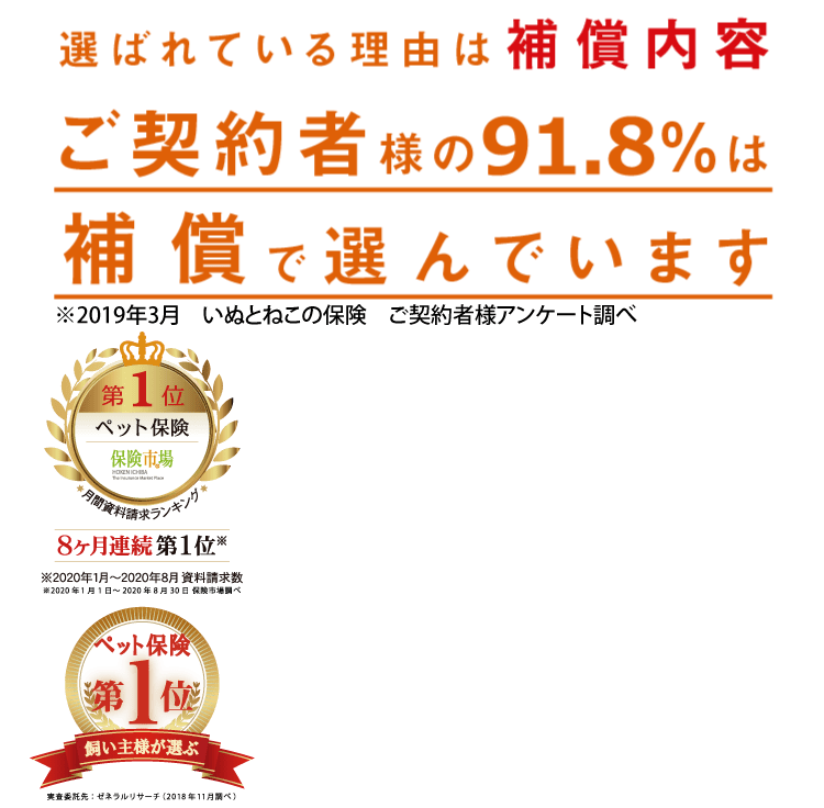 いぬ と ね この 保険 保険 金 請求 書