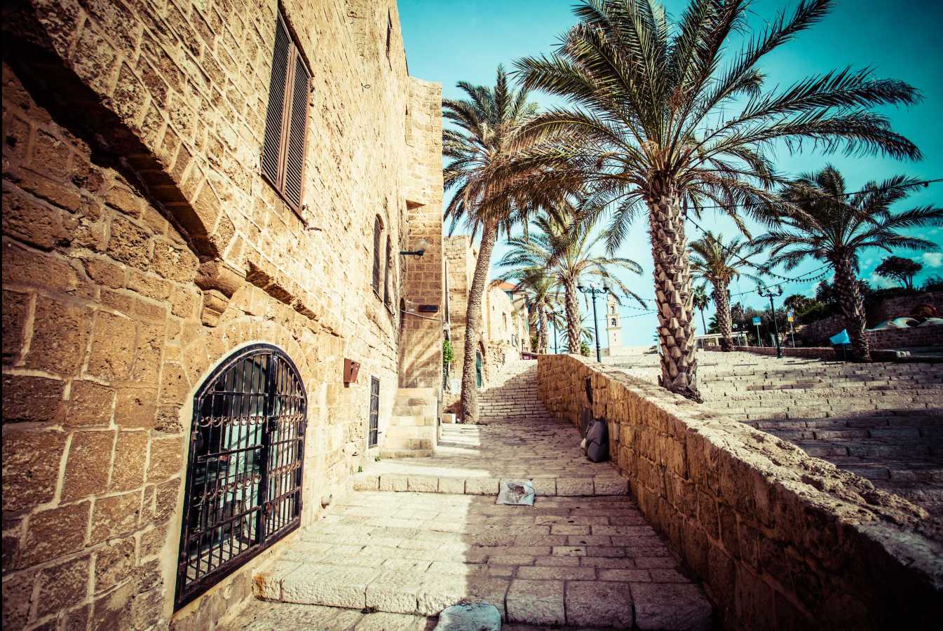 Jaffa real estate rent and sell ניקנור השער לעסקאות נדל"ן