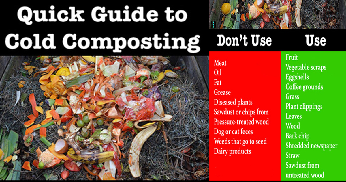 Cold Composting Nikki Lynn Design