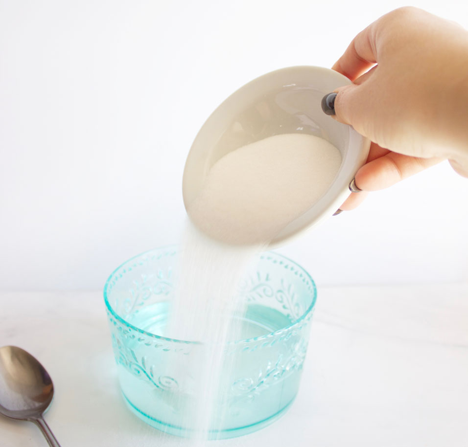 Best Homemade Bee Trap Formula Nikki's Plate Blog