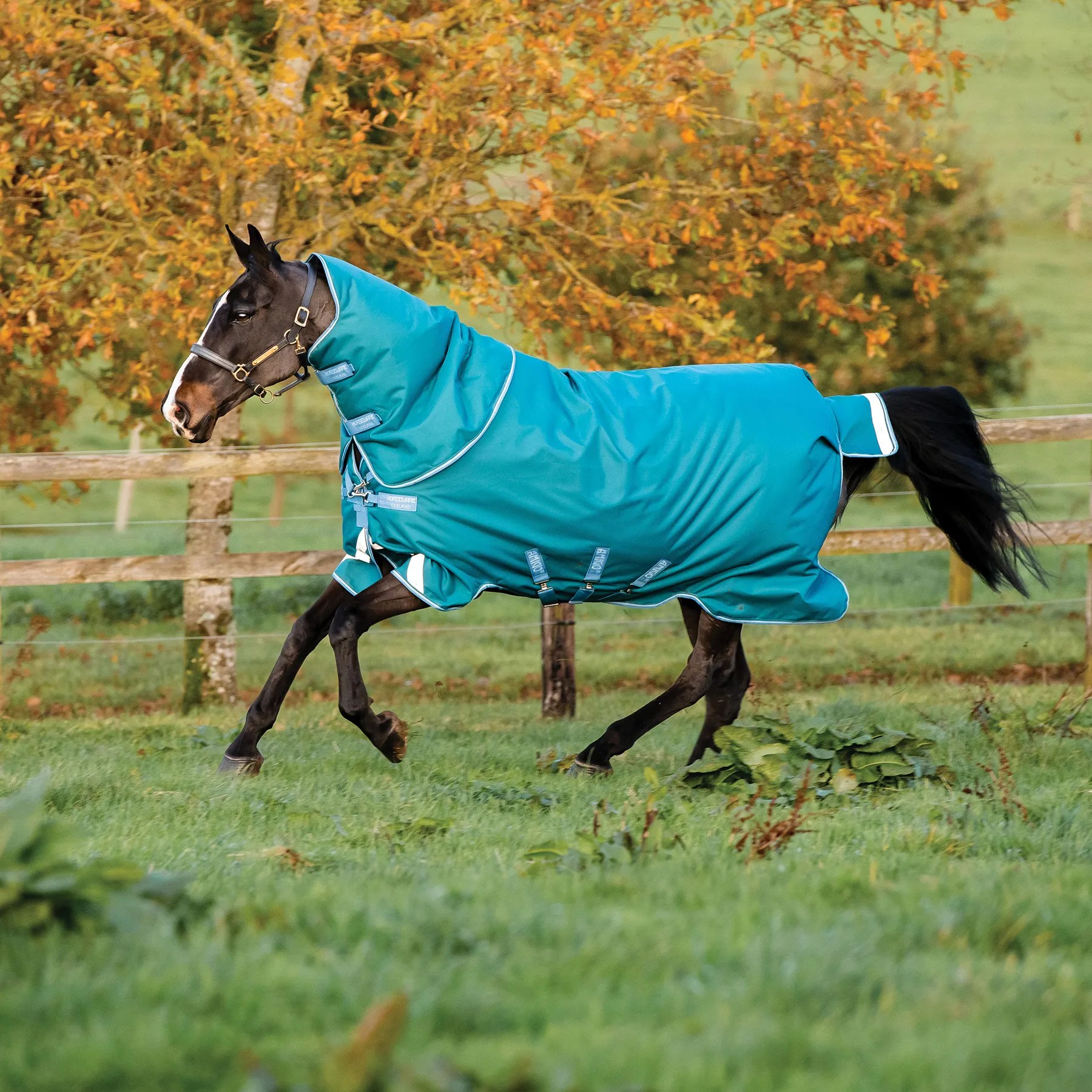 Fashionable Horseware® Amigo® Bravo 12 Plus Heavyweight Turnout Blanket